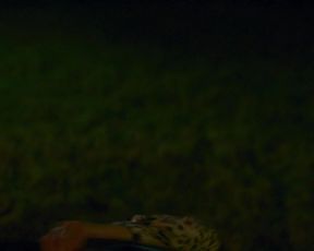 Stephane Caillard, Coline Beal nude - Furie (2019)