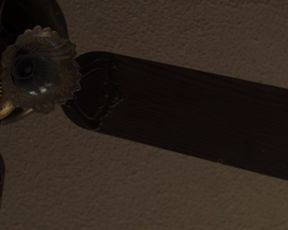 Auden Thornton nude, Hot, Striptease scene for the Movie