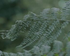 Tessie Herrasti - La Marche du Monde (2013)