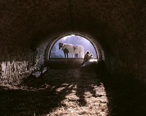 Brigitte Lahaie sex in 'Je Suis A Prendre'