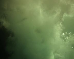 Denise Gjernoe Nude - Oceaniden (2010)