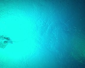 Ana Clara Fischer, Maria Fernanda Candido nude – Meu Amigo Hindu (My Hindu Friend) (2015)