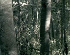 Gimena Blesa, Marisol Tur, Magdalena De Santo, Andrea Duarte nude - No moriré sola (2008)