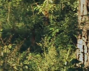 Stephanie Griffith, Taylor Hughes nude - American Paradice (2011)