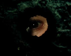 Monica Bellucci nude - Malena (2000)