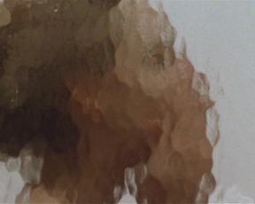 Jodie Foster - Catchfire (US1991)
