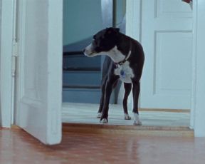 Helene Bergsholm nude – Turn Me On Dammit (2011)