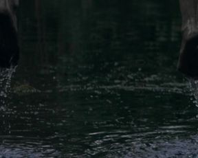 Charlotte Vega nude - The Lodgers (2017)