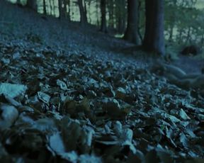 Nina Hoss nude – Das Herz Ist Ein Dunkler Wald (2007)