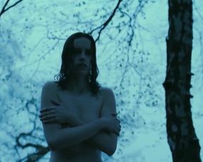 Nina Hoss nude – Das Herz Ist Ein Dunkler Wald (2007)