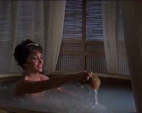 Gina Lollobrigida Sexy - Solomon and Sheba (1959)
