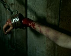 Julian Berlin, Erin Foster - The Darkroom (2006)