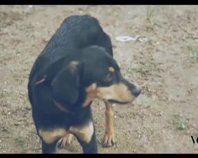 Rihanna sexy – Vogue Brasil- Behind The Scenes (2014)