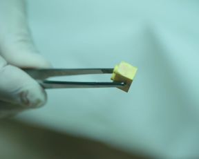 Krista Kosonen, Agusta Eva Erlendsdottir nude - Fremvandrerne s01e01-04 (2019)