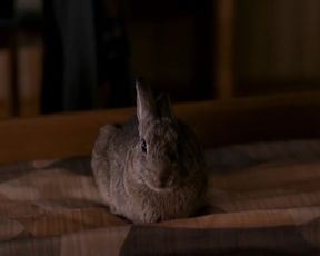 Julie Gayet Nude - Le lievre de Vatanen (2006)