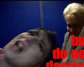 Susanne Sachsse - The Raspberry Reich (2004)