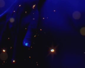 Joanne Palmaro Nude - Justice Pleasure (2017)