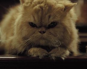 Laura Harring nude – Love in the Time of Cholera (2007)