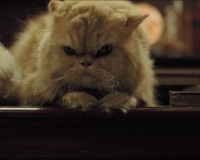 Laura Harring nude – Love in the Time of Cholera (2007)