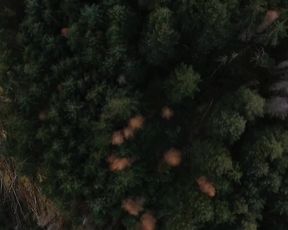 Jagoda Kamov - Despair (2017)