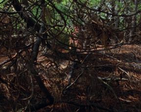 Lucia Sanchez nude - Une robe d’ete (1996)