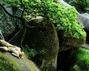 Claudia Fortunato - Vortex (Trailer)(2019)