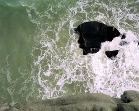 Maria Gabriela de Faria nude - Sitiados s02e01-08 (2018)