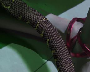 Aya Sugimoto & Misaki Mori, Asian BDSM, Subdual, Bondage sex for Adult Movie 'Hana To Hebi'