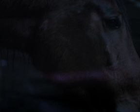 Solsikke Lausten nackt - Som Folger Solen (2013)