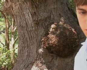 Corrie Loftin nude – The Eves (2012)