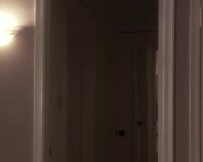 Carla Gugino Nude - Elektra Luxx (2010)