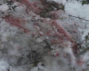 Pollyanna McIntosh nude, Lauryn Canny nude - Darlin (2019)