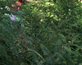 Louise Cliffe nude - Wrong Turn 3 (2009)