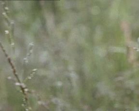 Renata Dancewicz  - Devilish Education