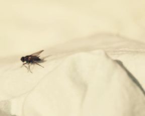 Anna Oussankina Explicit Nudity, Sex Scene in 'Sommerloch'