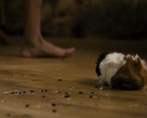 Vera Bommer nude - Seitentriebe s02e02-04 (2019)