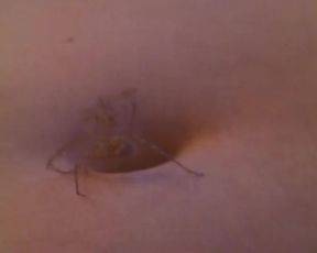 Emmanuelle Debever, Catherine Griffoni, Lisa Heredia - Un jeu brutal (1983)