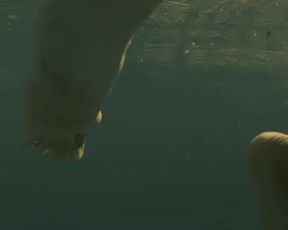 Leticia Leon nude - Molina's Borealis (2013)