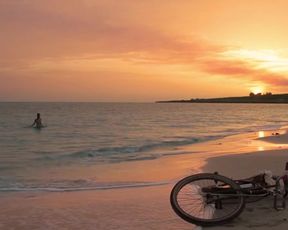 Leticia Leon nude - Molina's Borealis (2013)