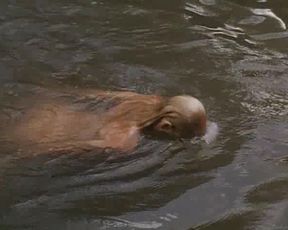 Daryl Hannah & Kathy Bates nude - At Play in the Fields of the Lord (1991)