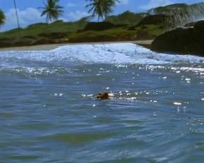 Hermila Guedes nude - Era Uma Vez Eu, Veronica (2012)