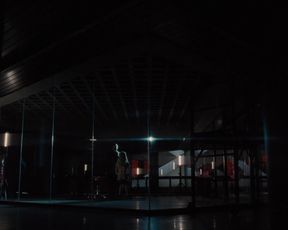 Evan Rachel Wood – Westworld s02e02 (2018) Naked actress in a sexy video