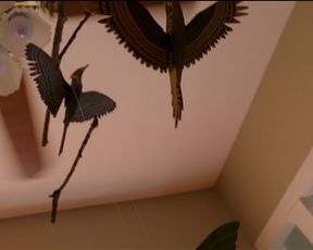 Jessa Peters, Amber McConnell, sexy actress - Song to Song (2017) Сut naked video