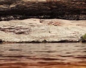 Ingrid Conte, Fabiane Oliveira, Julia Bosco - Ibiti o que (2015) sexy nude video