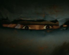 Hot celebs video Monica Bellucci - Malena (2000) 