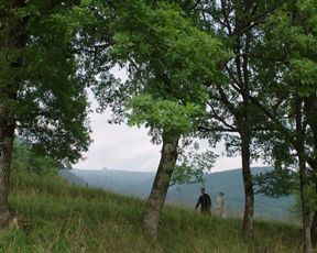 Sexy Diane Rouxel, Nathalie Tetrel nude - Fou D’Amour (2015) 