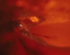 Hot actress Imogen Poots naked - Mobile Homes (2017) 