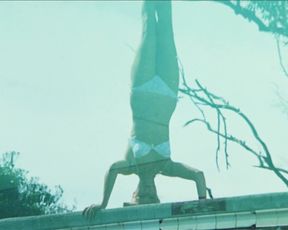 Retro erotic scene - Stone (1974)