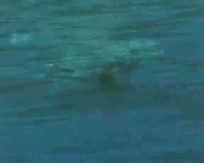 Phoebe Cates Paradise (1982)