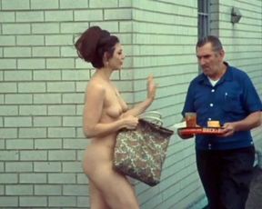 Retro sex videoJoie Addison - What Do You Say to a Naked Lady (1970)